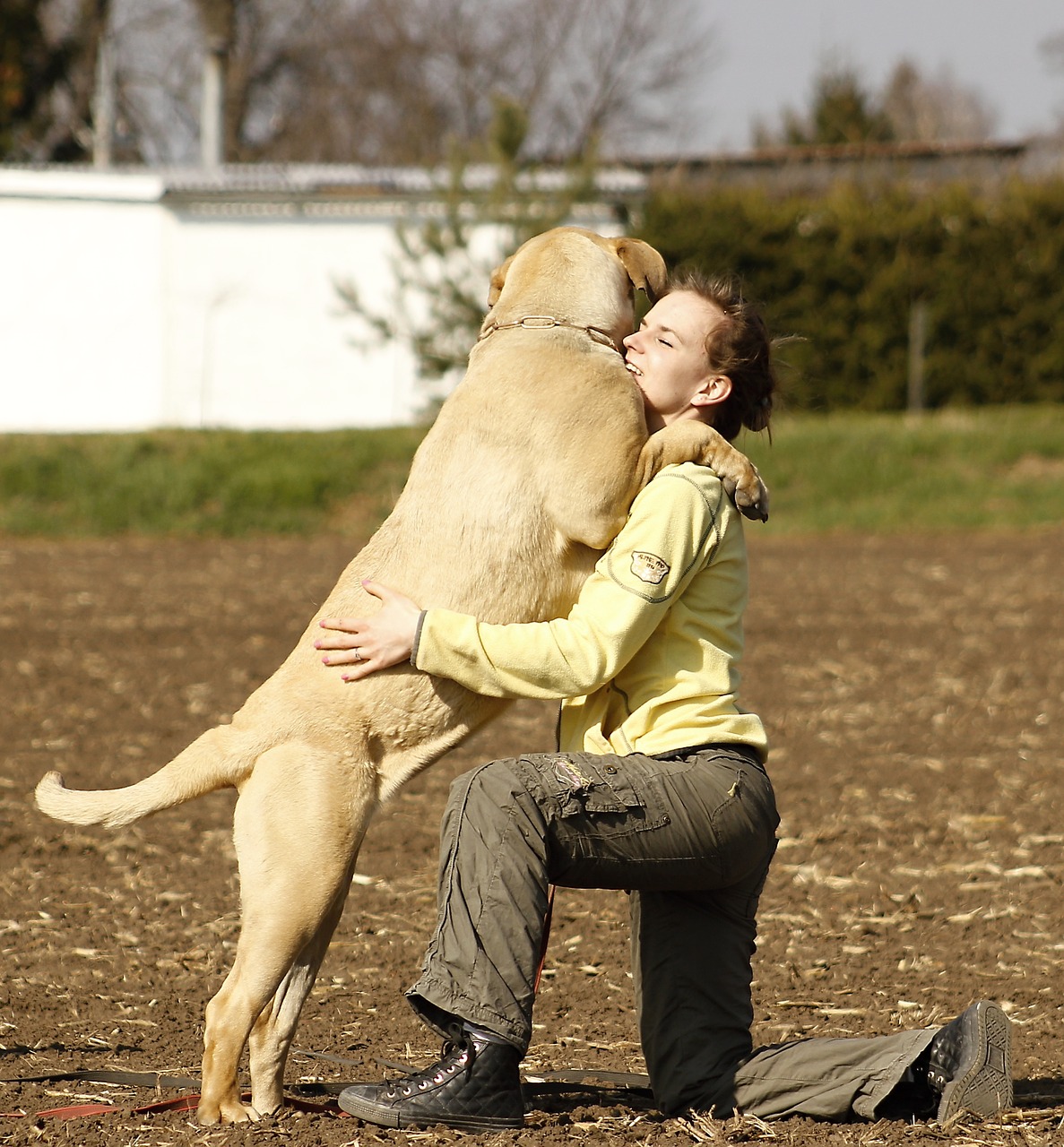 dog girl bordeaux free photo