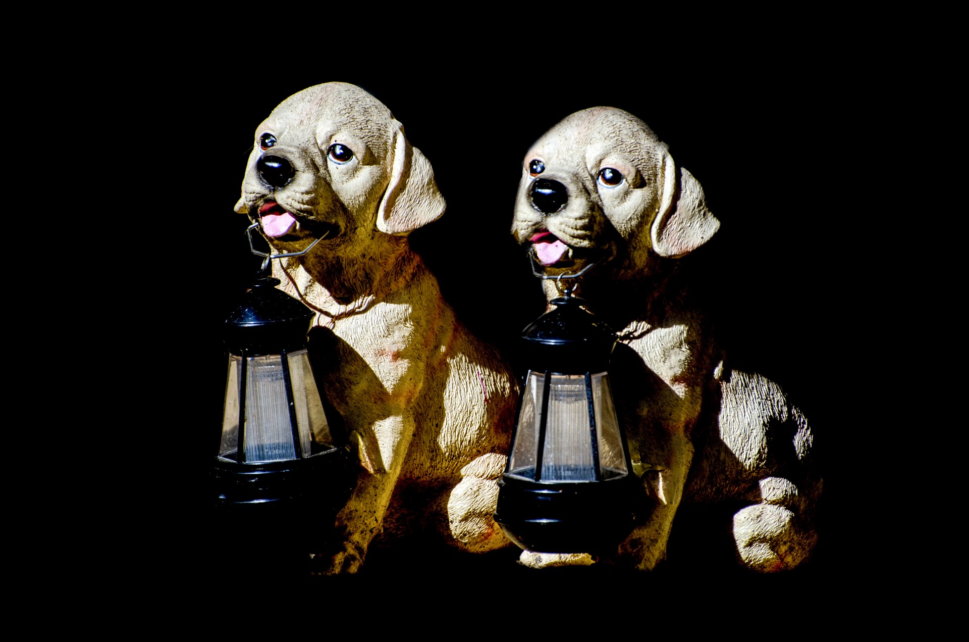 dogs dog lanterns free photo