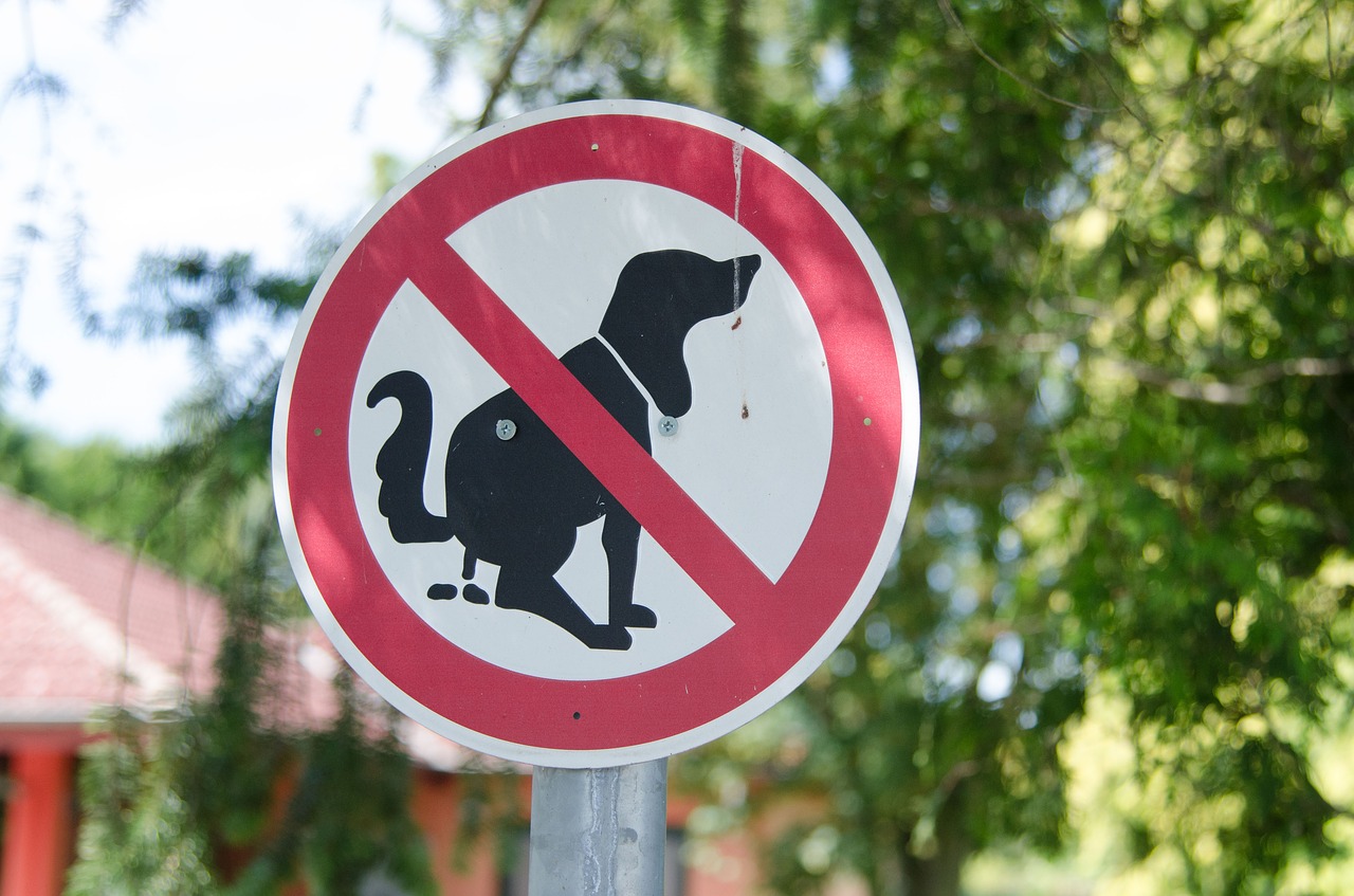 dog ban sign free photo