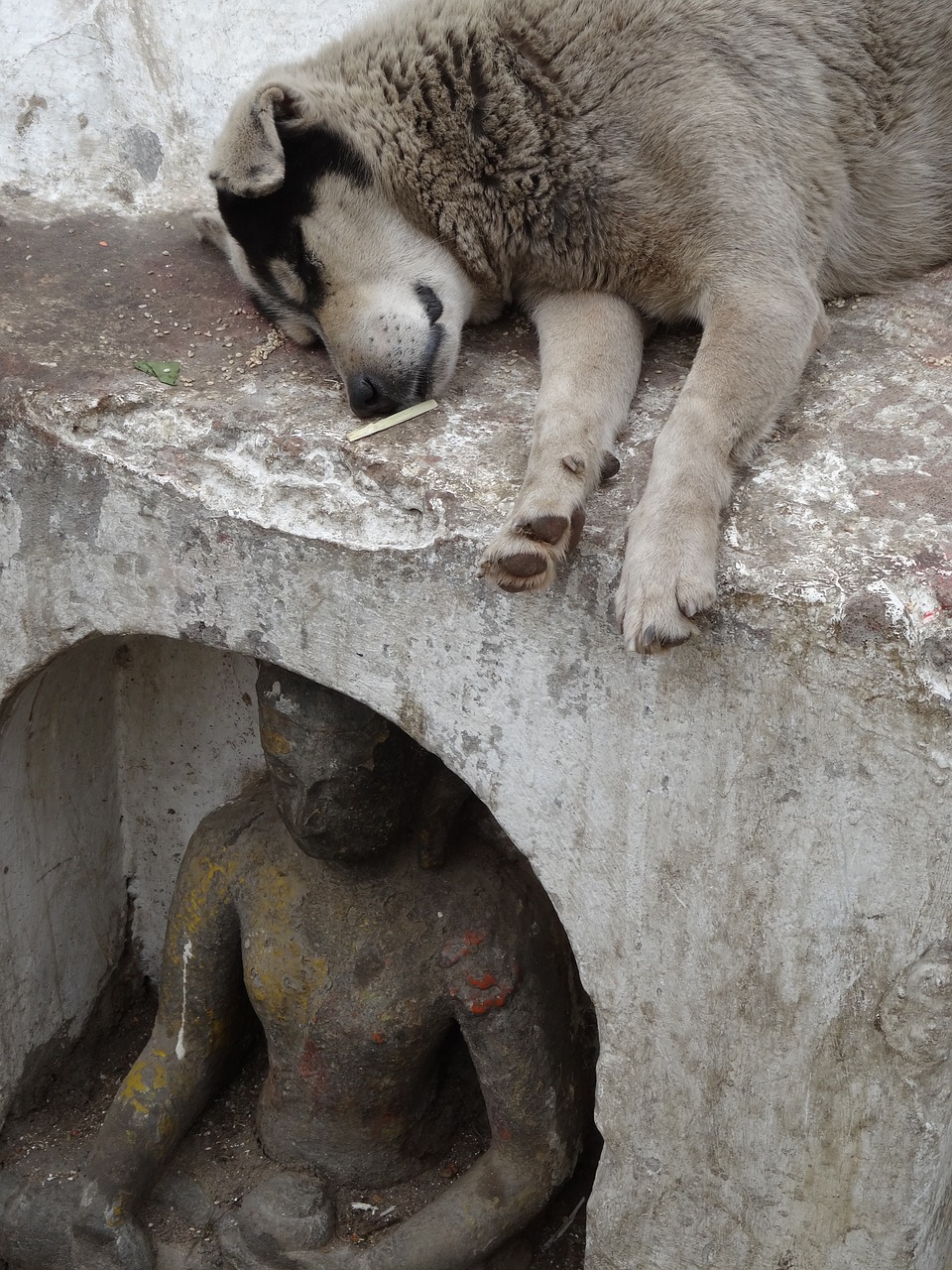 dog statue buddha free photo