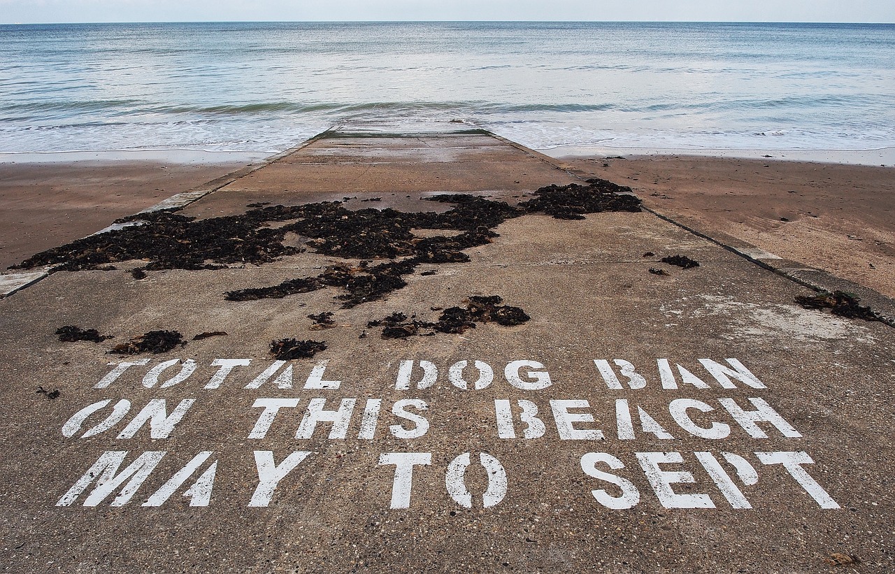 dog ban beach free photo