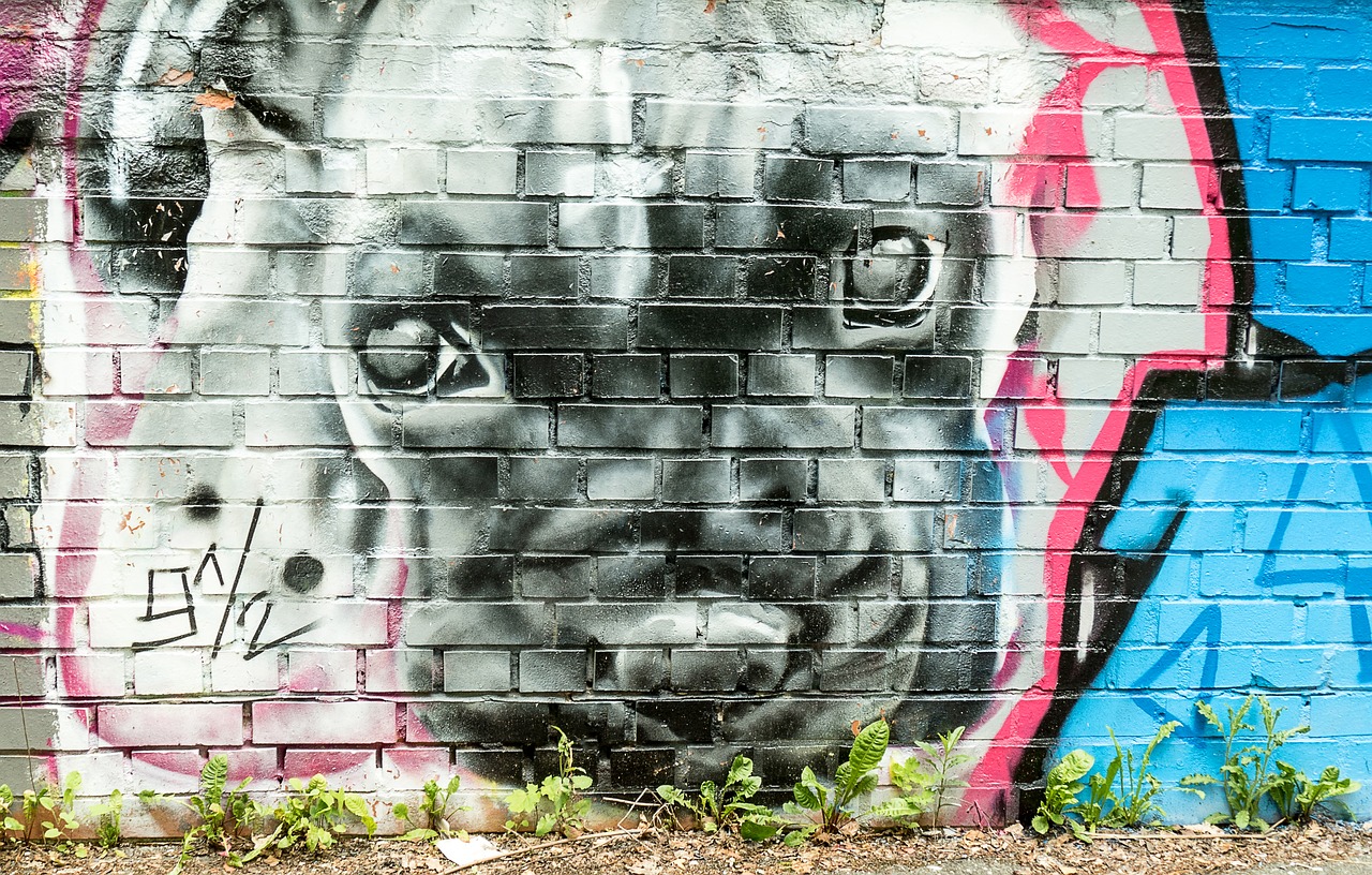 dog mural grafitti free photo