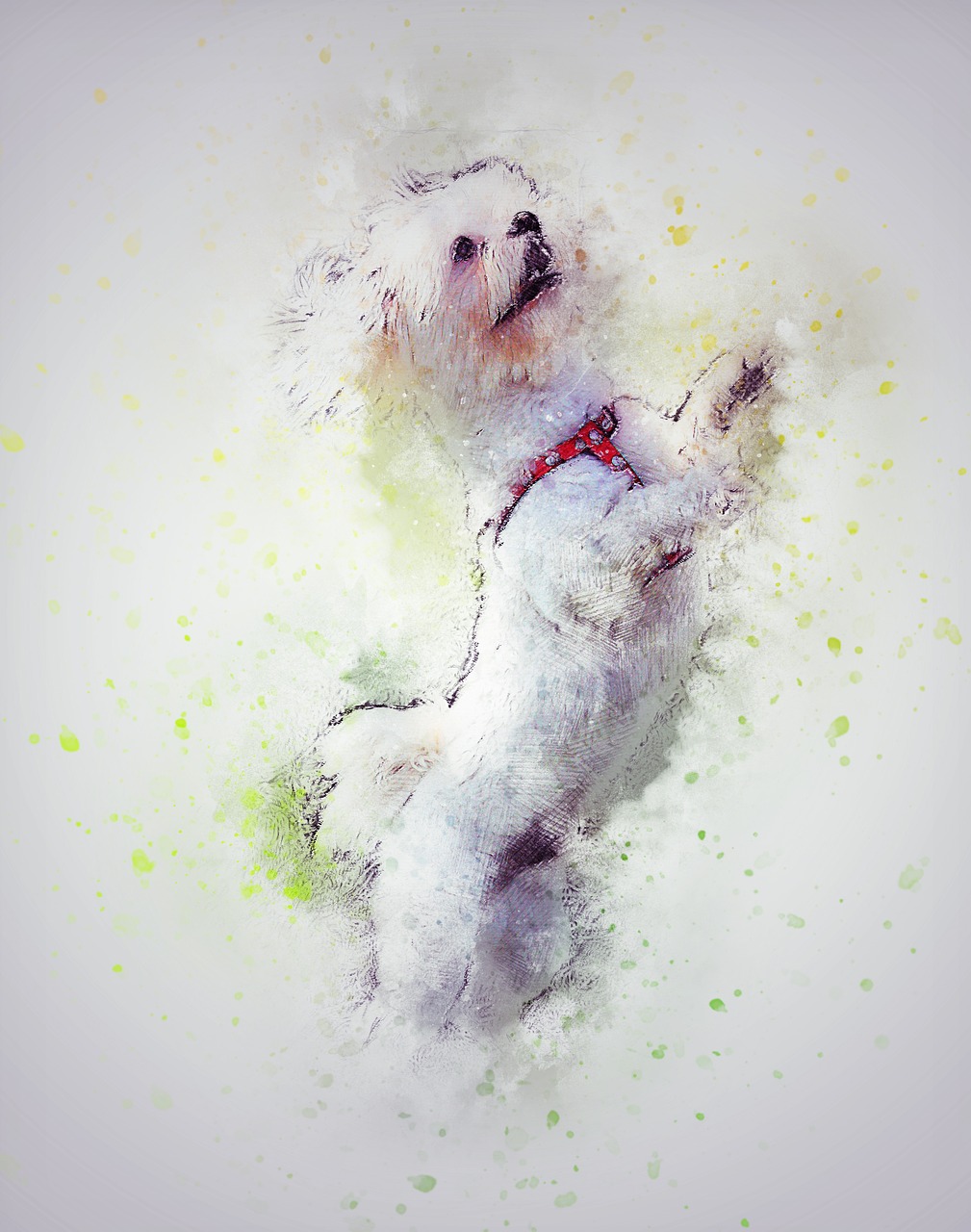 dog pet white free photo