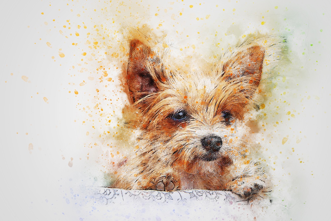 dog animal art free photo