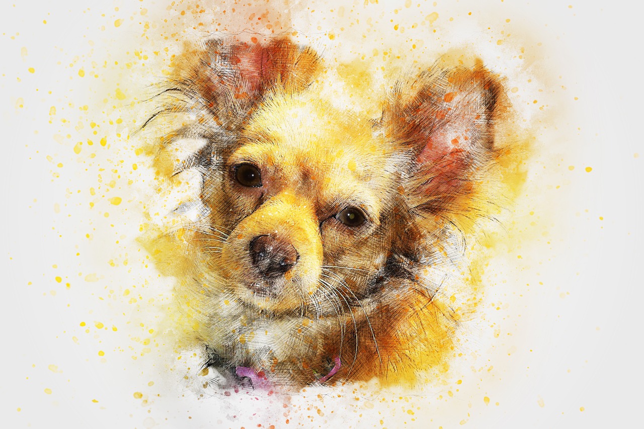 dog animal art free photo