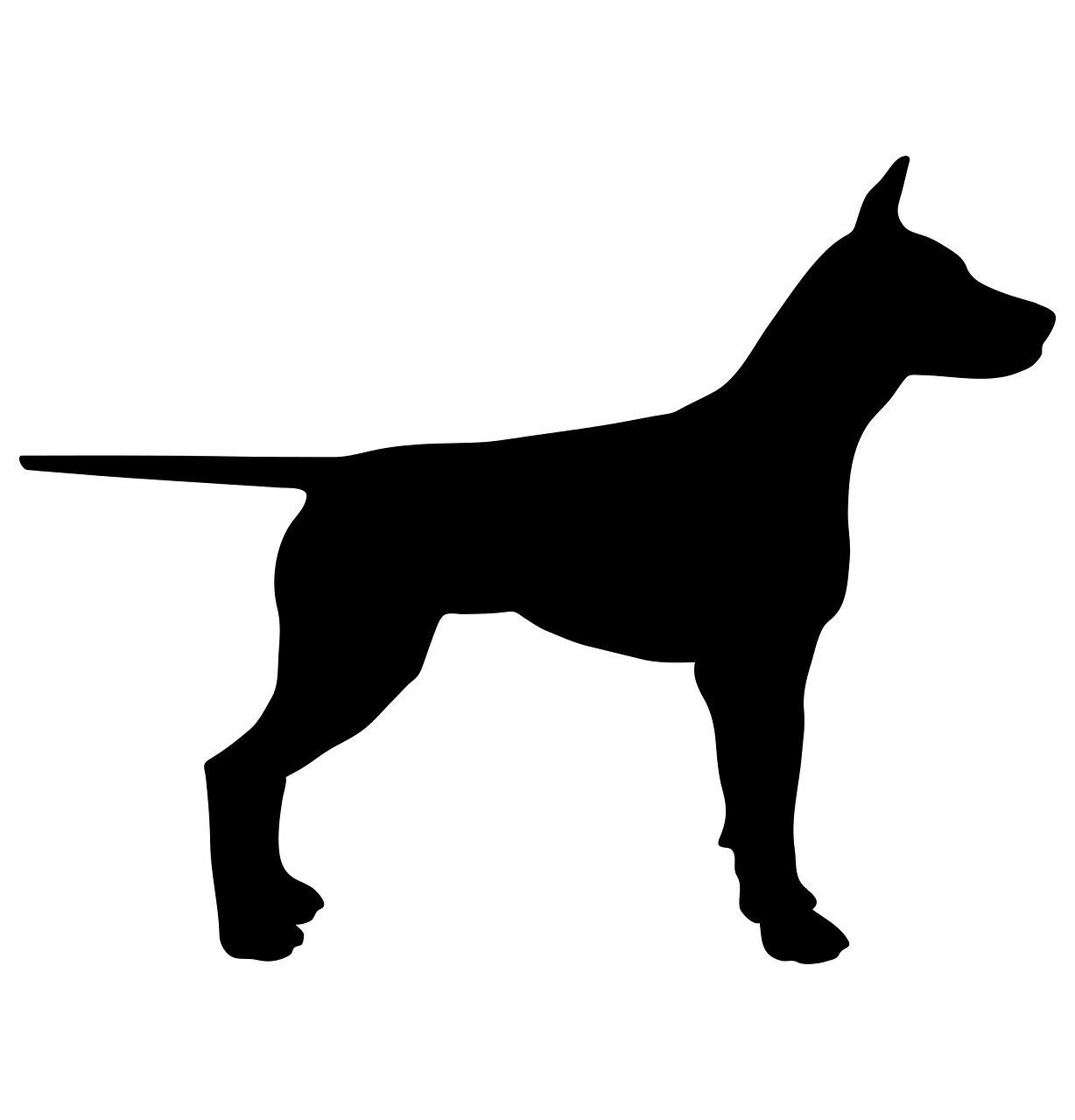 dog animal silhouette free photo