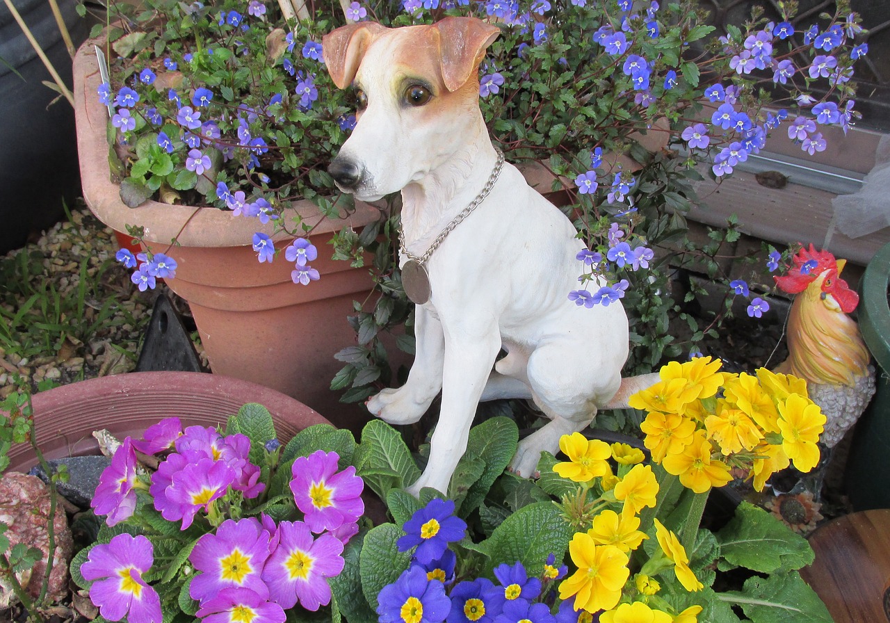 dog statue in free photo