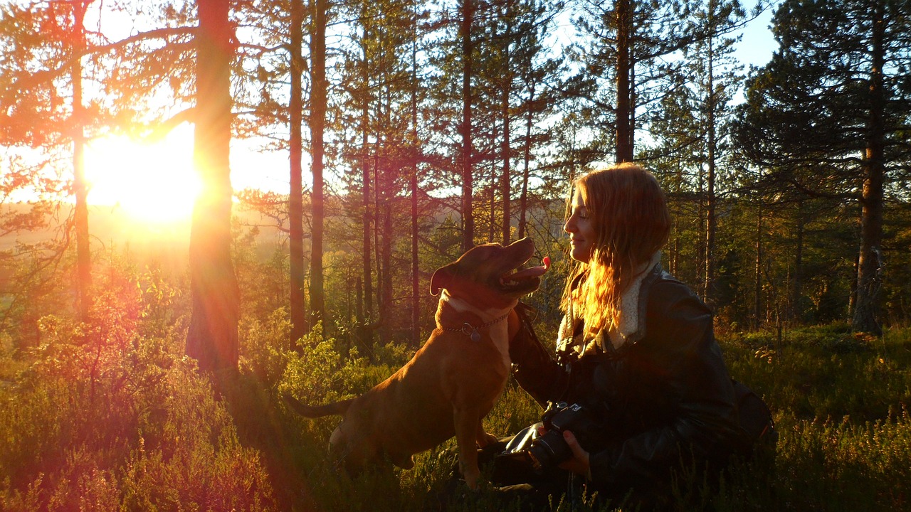 walking the dog dog sunset free photo