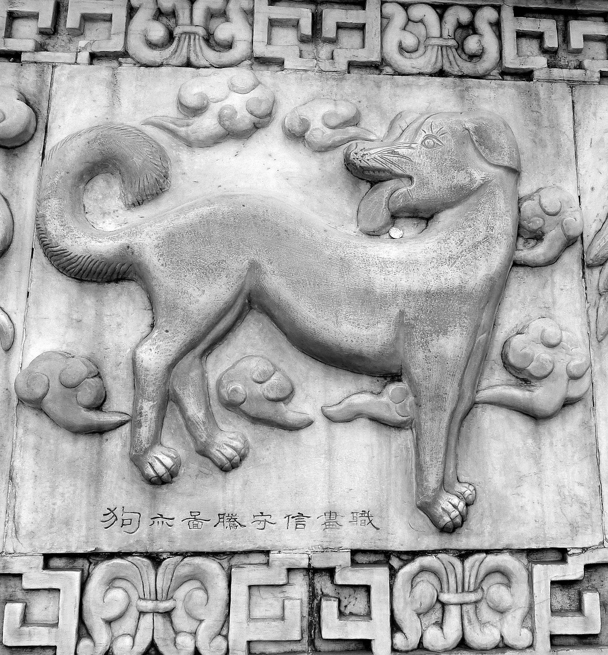 dog chinese horoscope symbols free photo