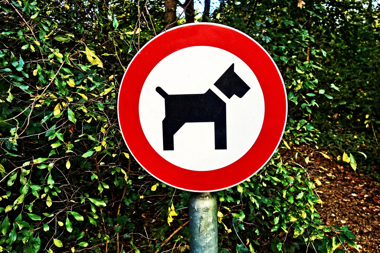 dog icon sign free photo