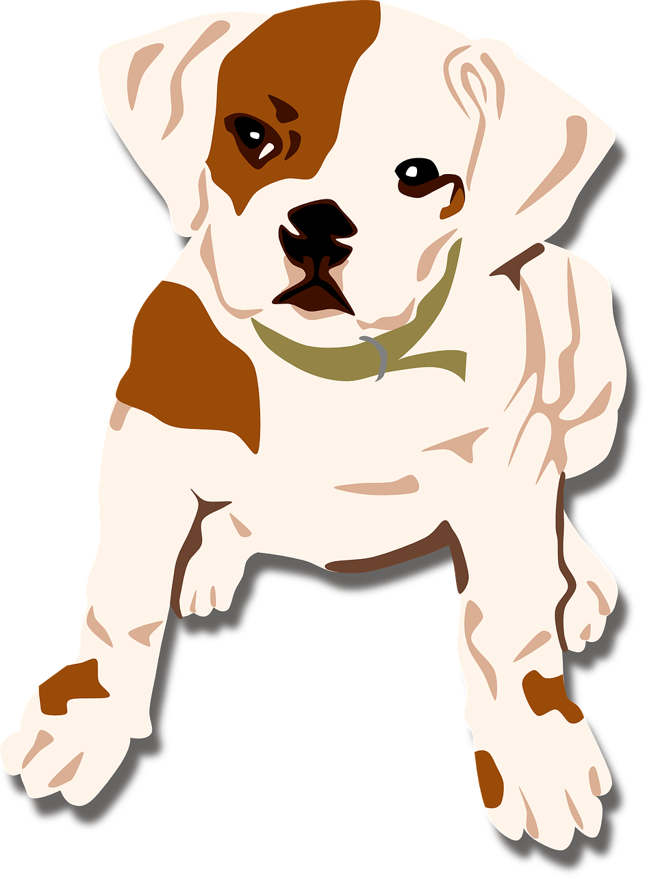 dog bulldog puppy free photo