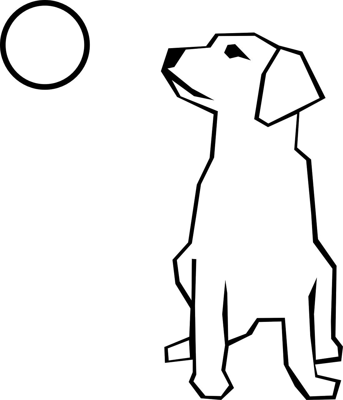 dog full moon canine free photo