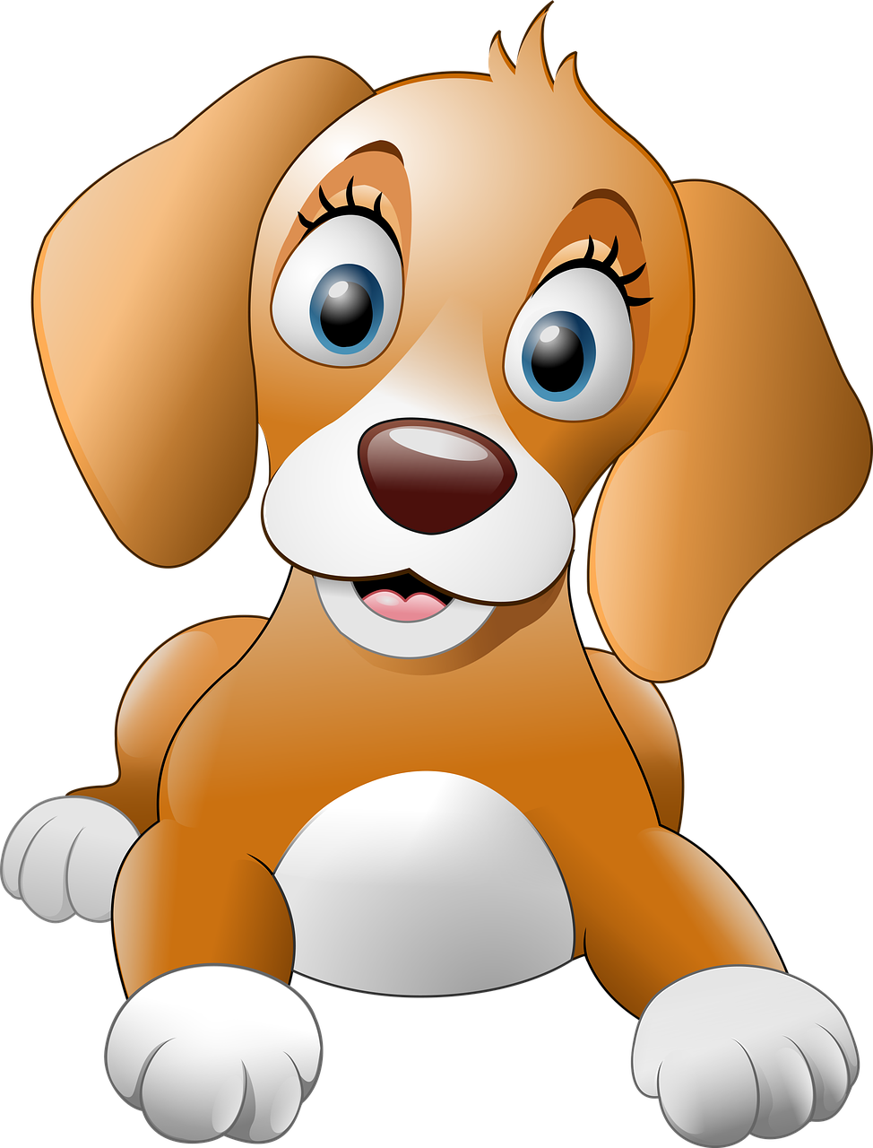 dog puppy cute free photo