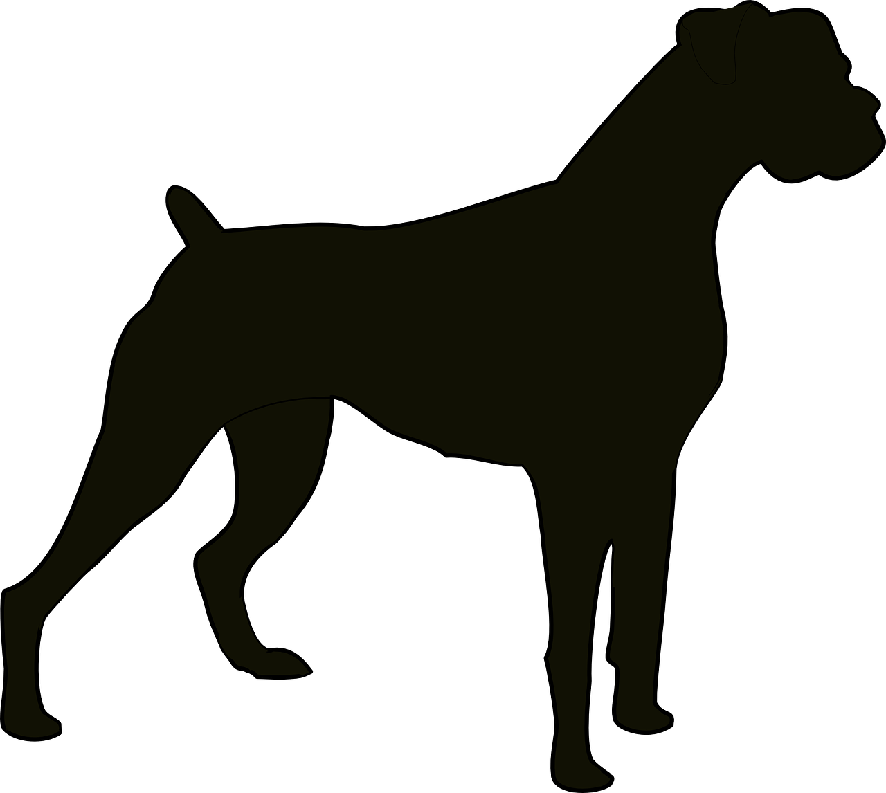 dog pedigreed pedigree free photo