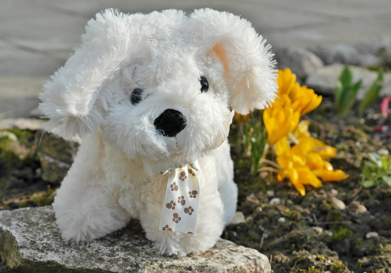 dog toys toy dog free photo