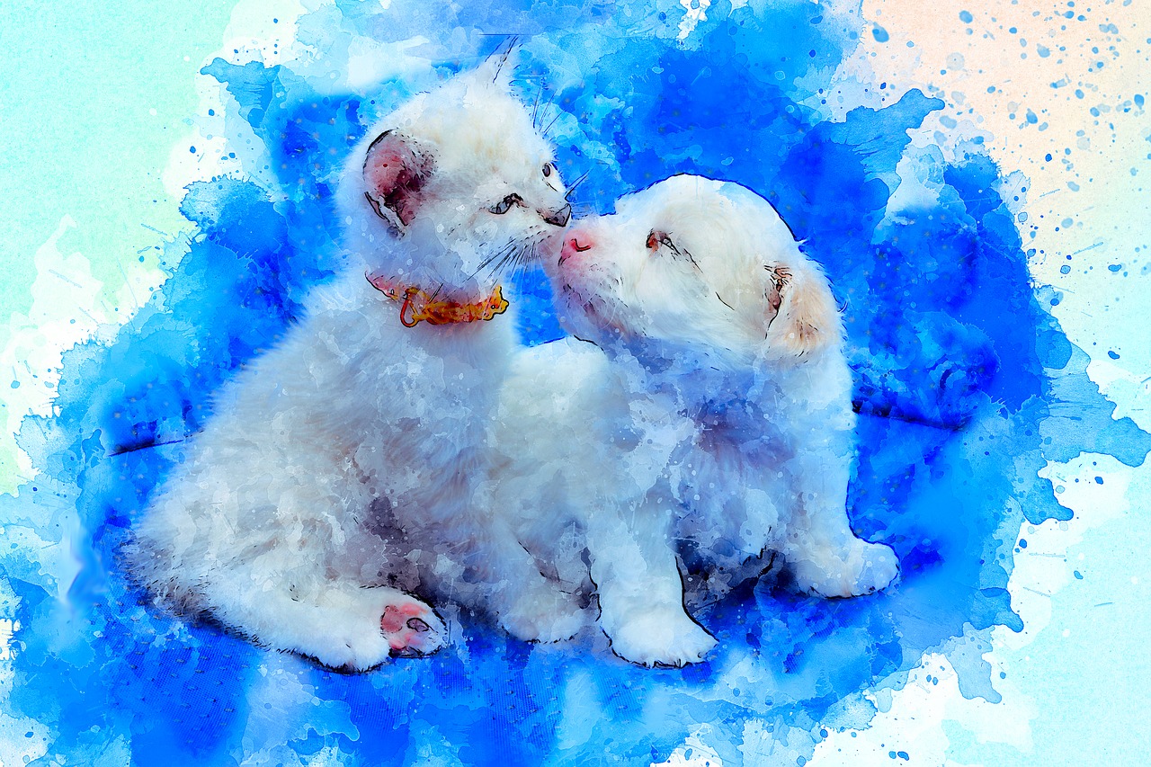 dog  cat  friendship free photo