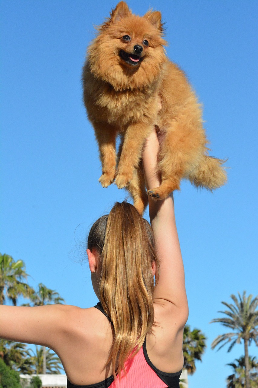 dog  girl  beach free photo