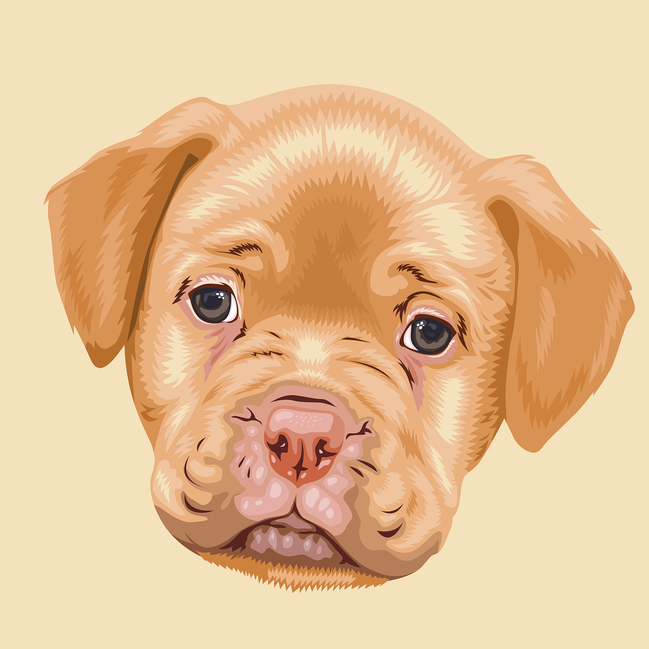 dog  vector art  animal free photo