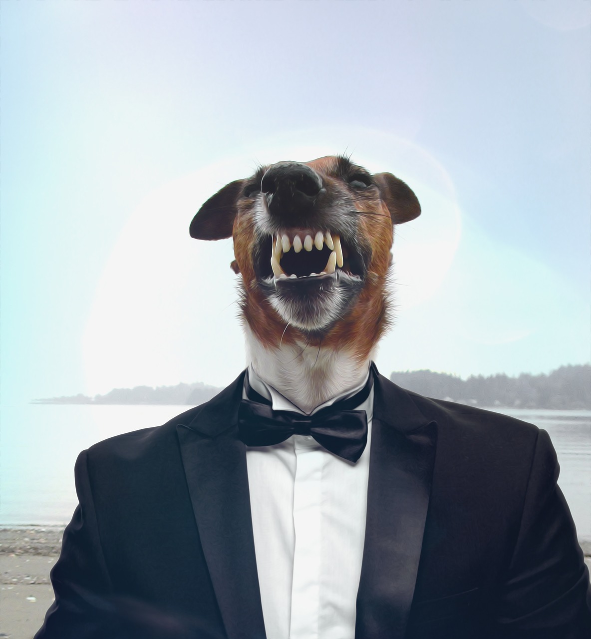 dog  suit  businessman free photo