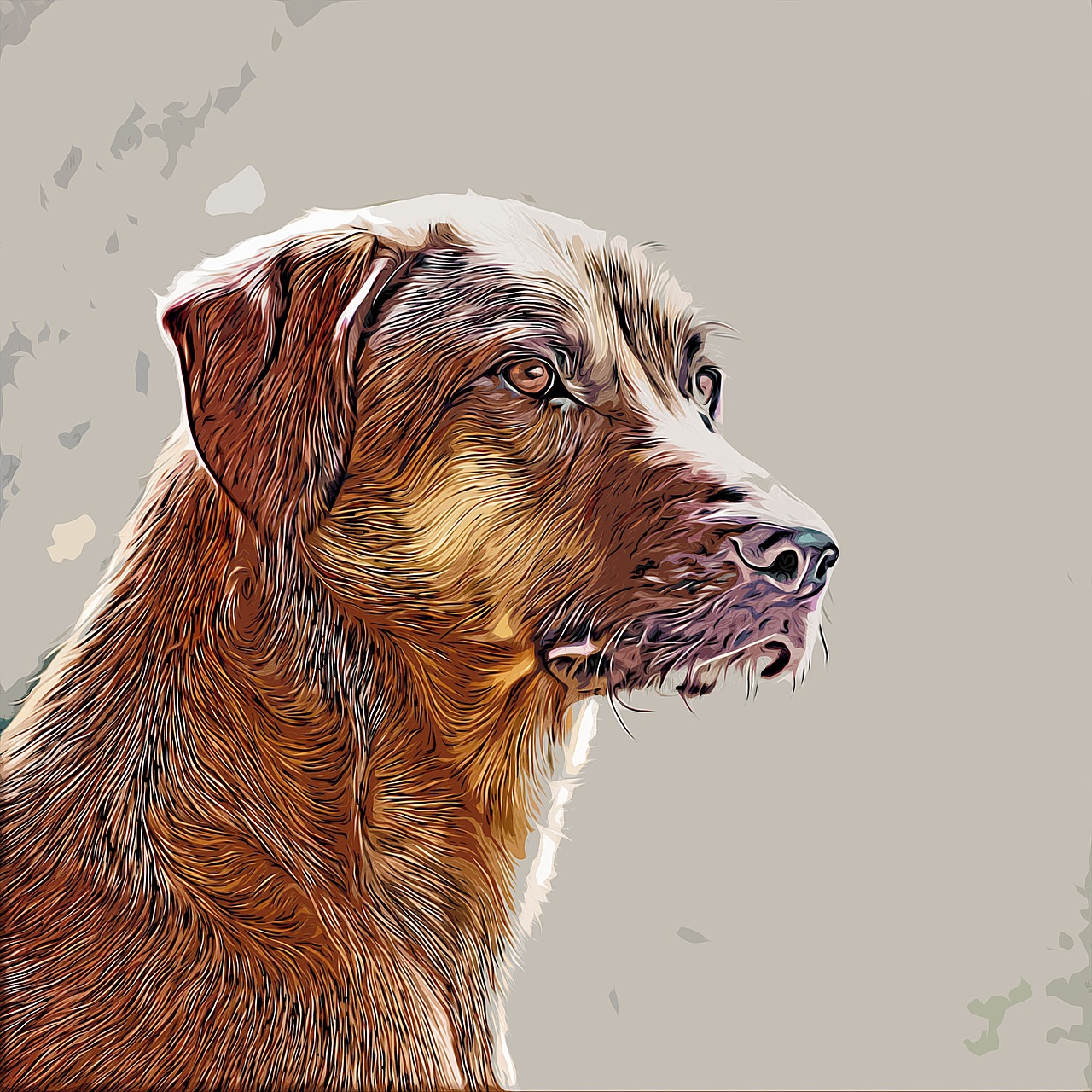 dog  portrait  drawing free photo