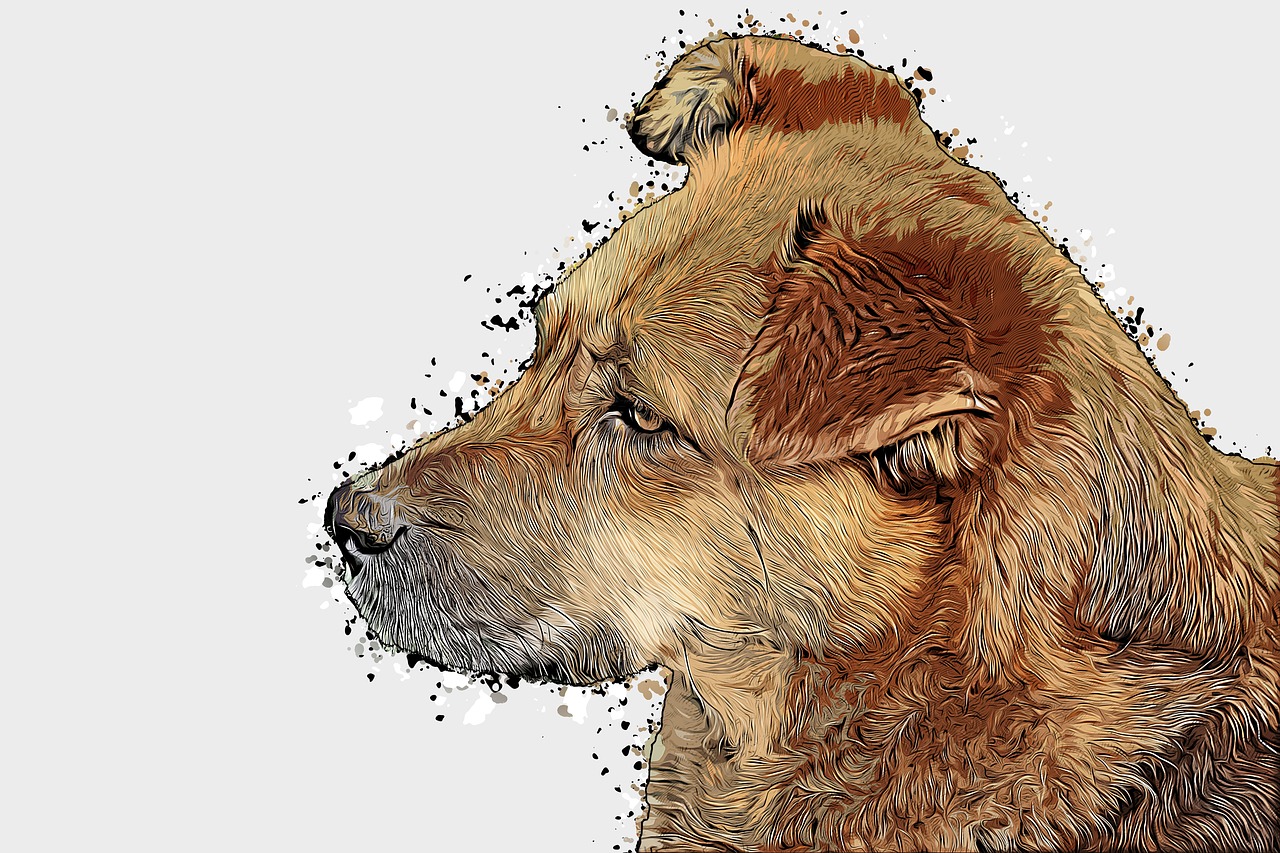 dog  portrait  drawing free photo