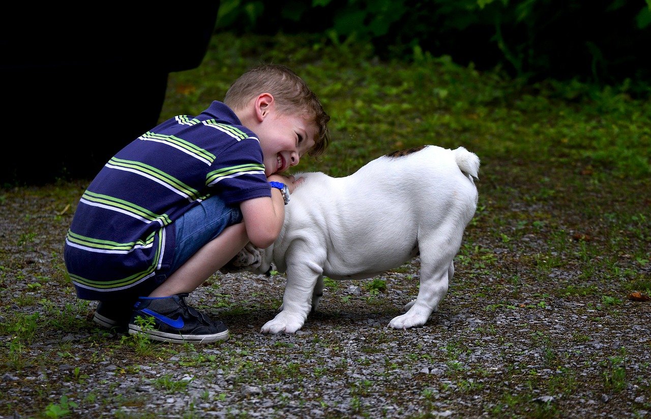 dog boy child free photo