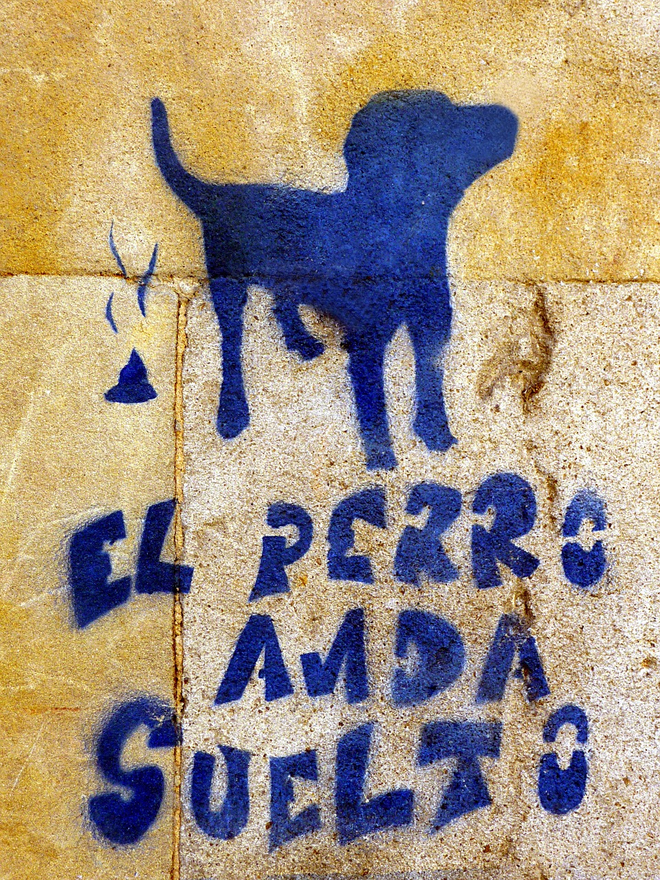 dog blue graffiti free photo