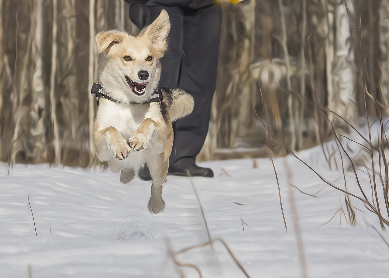 dog the playground painting free photo