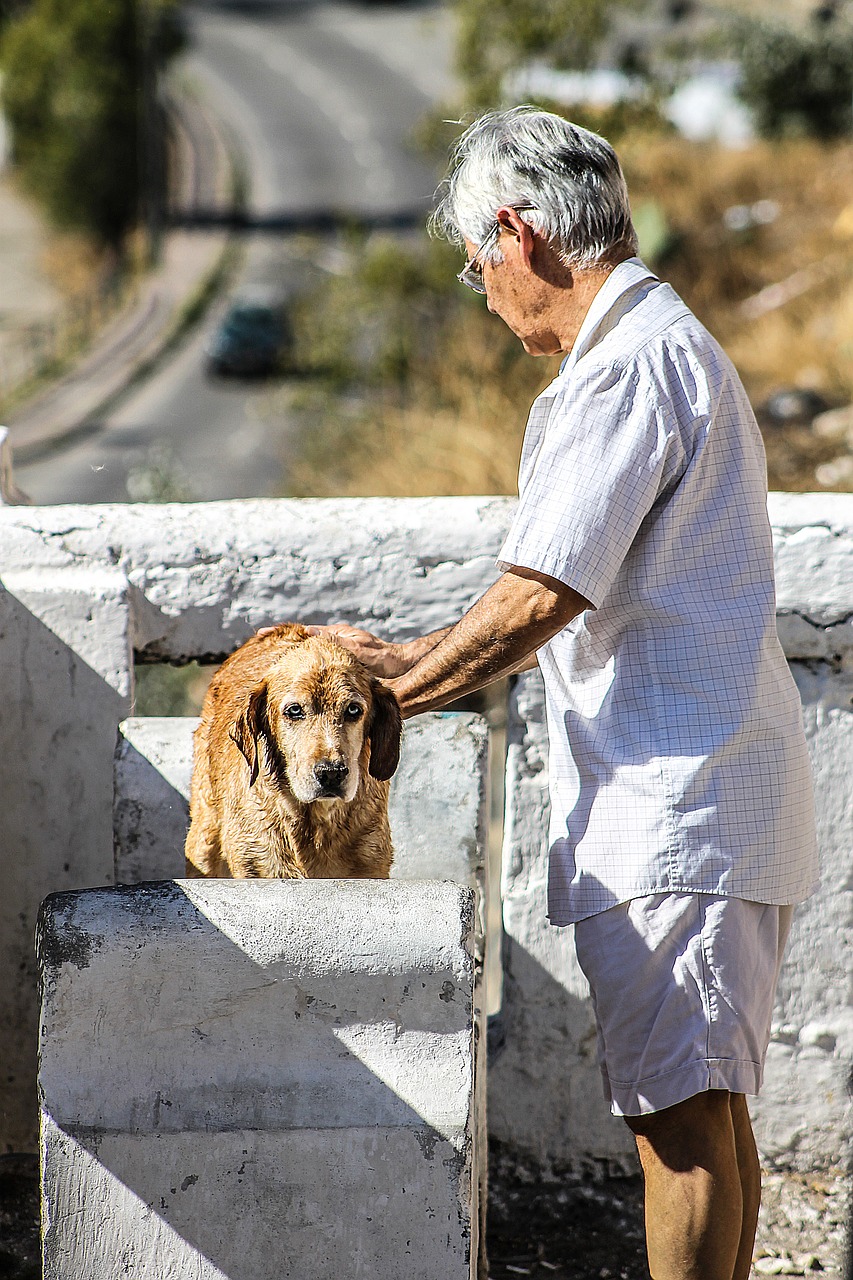 dog man man cleaning up dog free photo