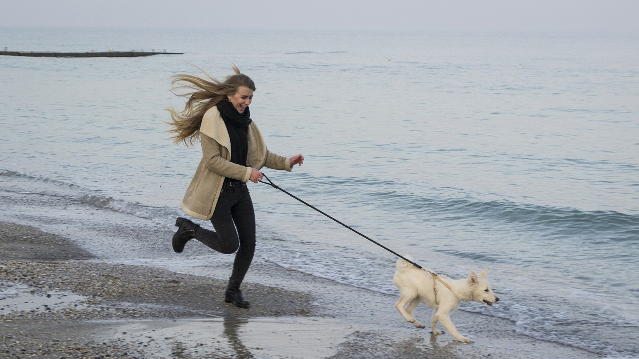 dog sea beach free photo