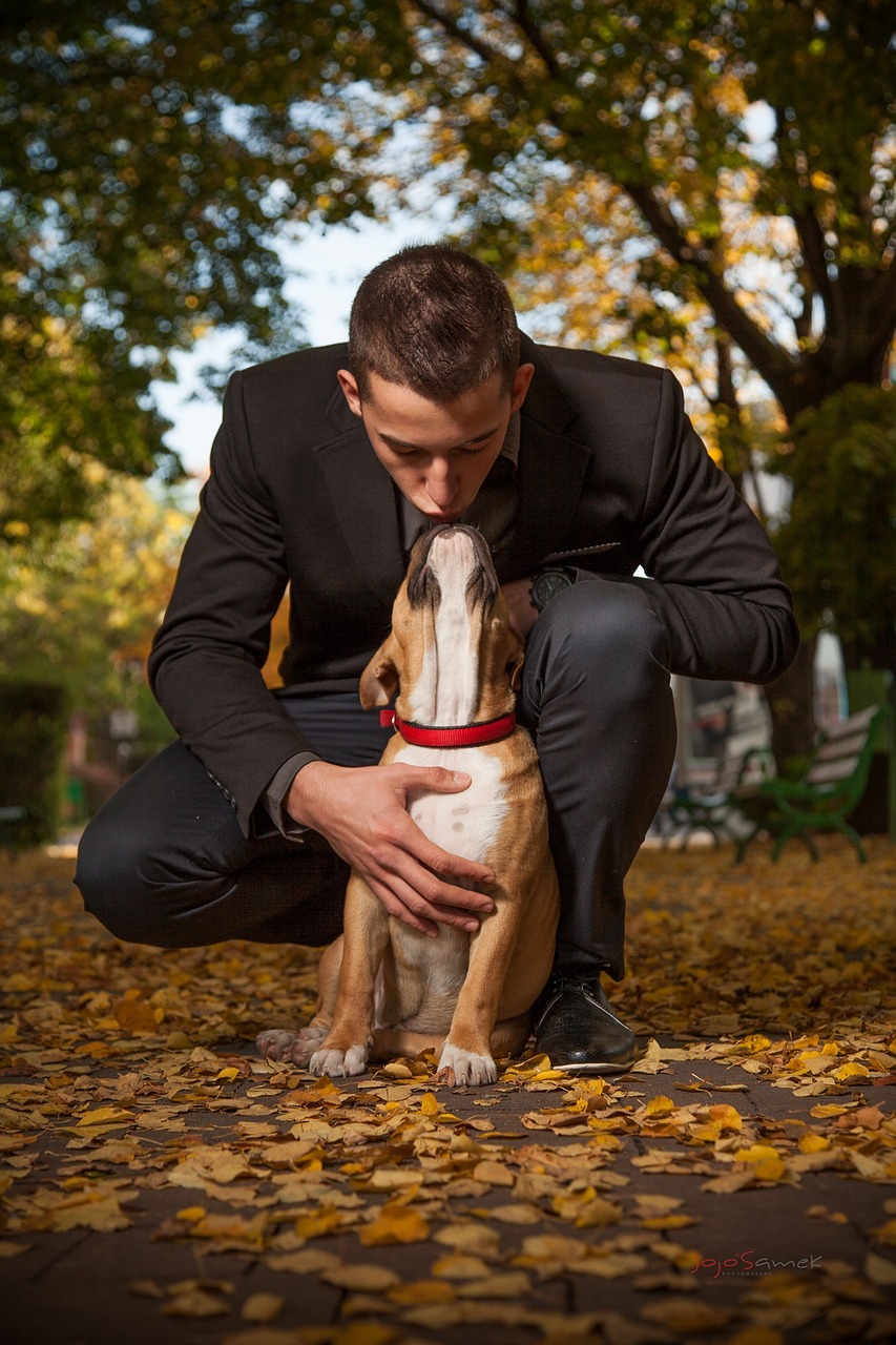 dog man autumn free photo