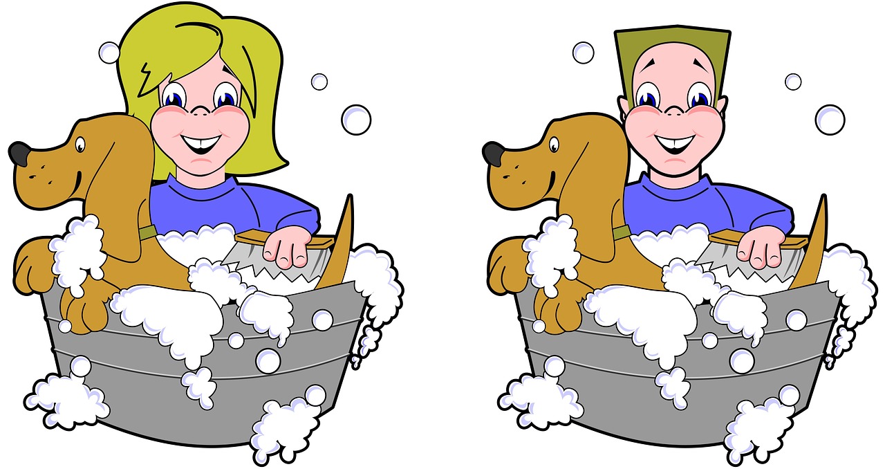 dog wash bath free photo