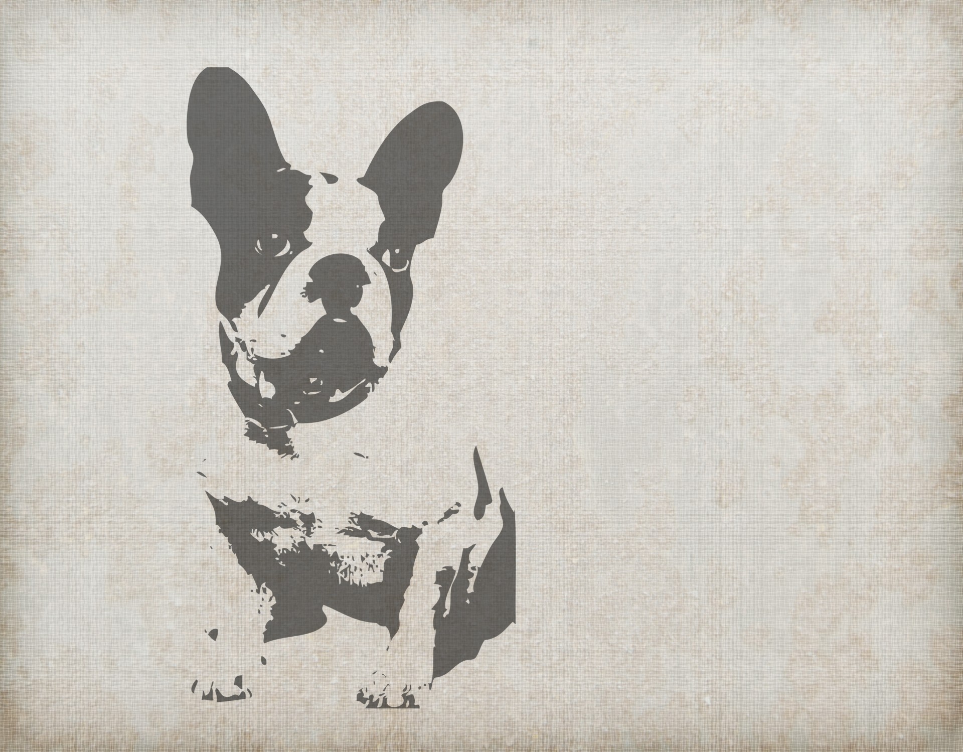 dog french bulldog animal free photo