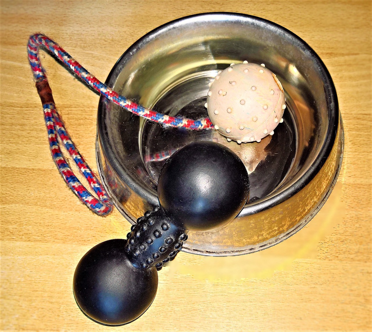 dog bowl dog toy dog utensils free photo