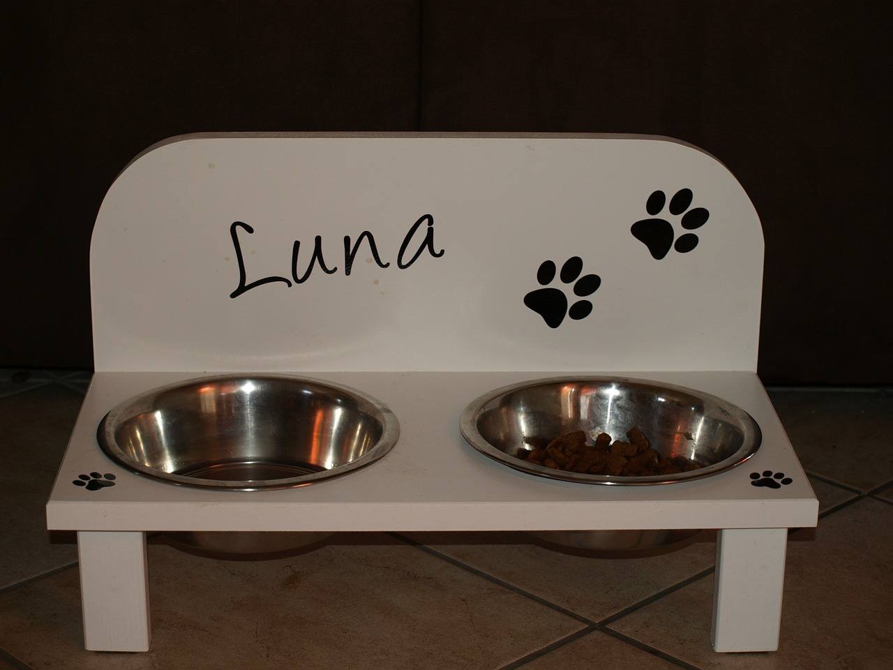 dog bowl bowl dog free photo