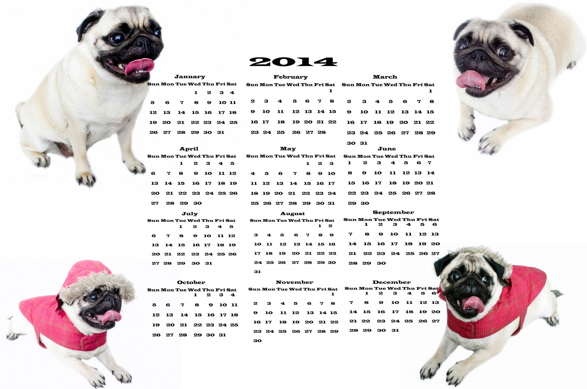 2014 dog calendar free photo