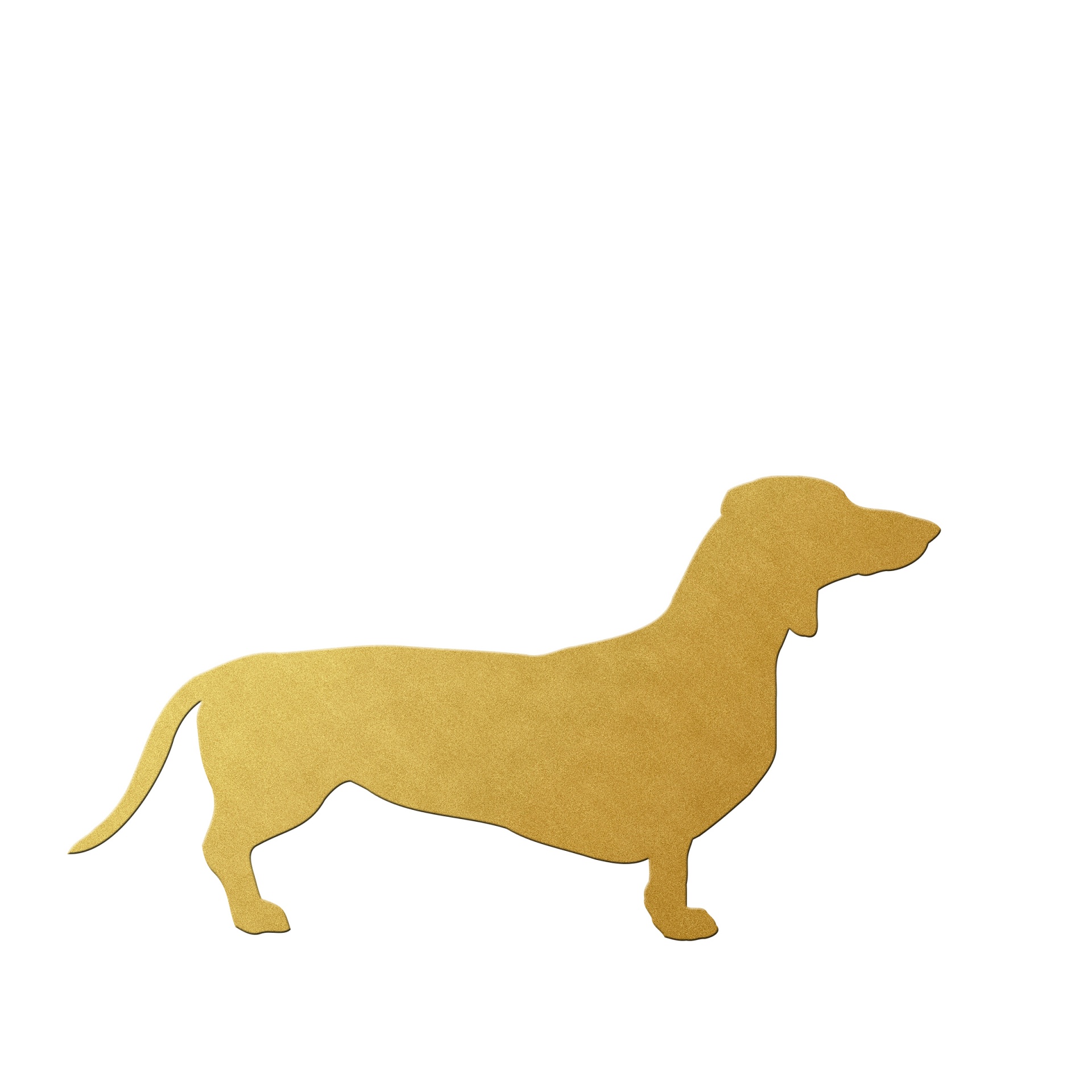dog dachshund gold free photo