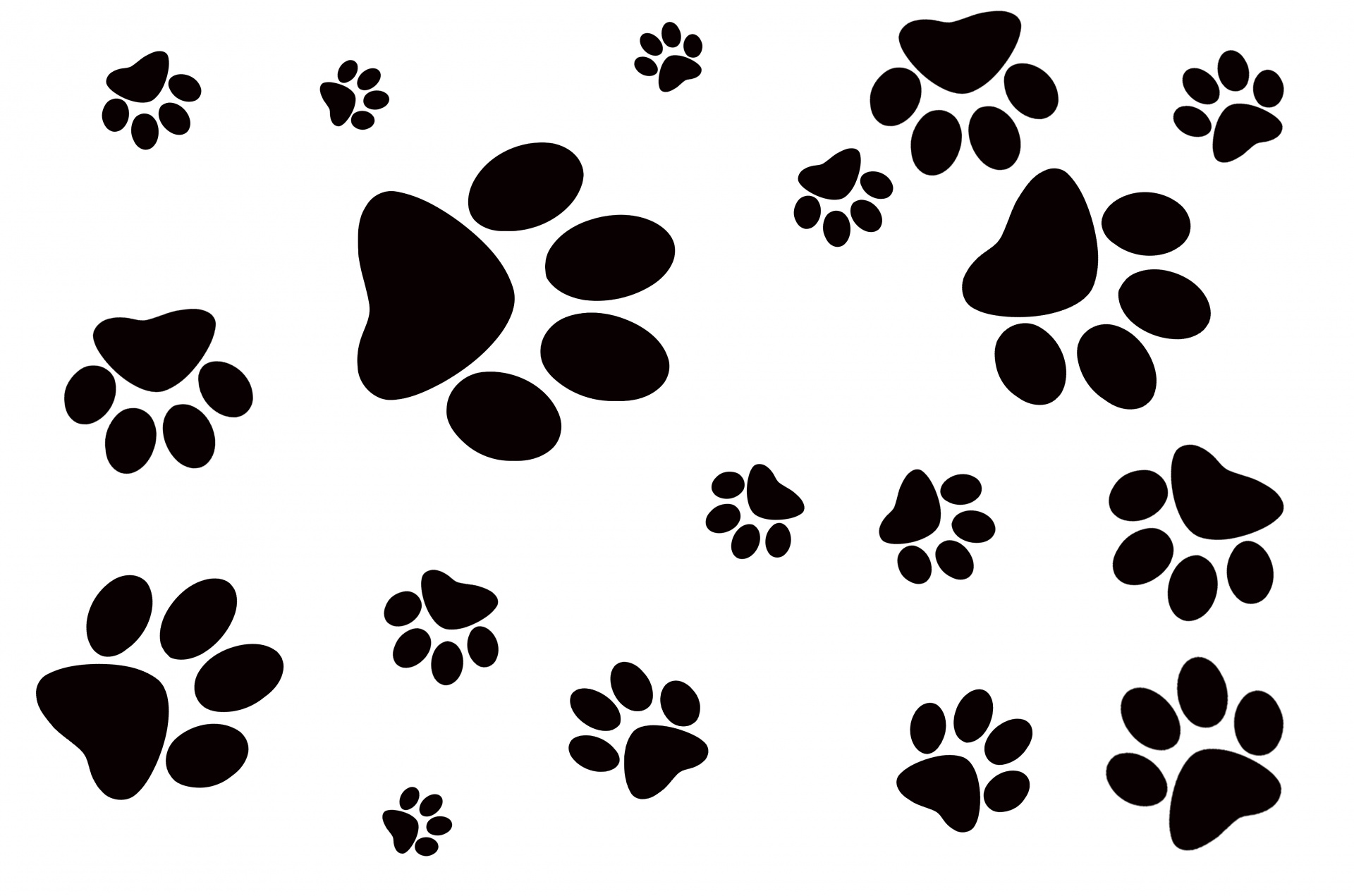 background pawprint cat free photo