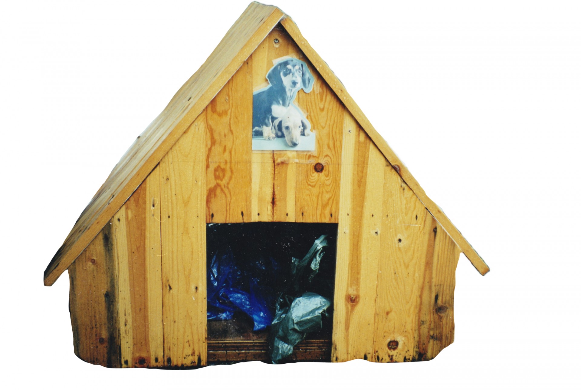 dog kennel hut free photo