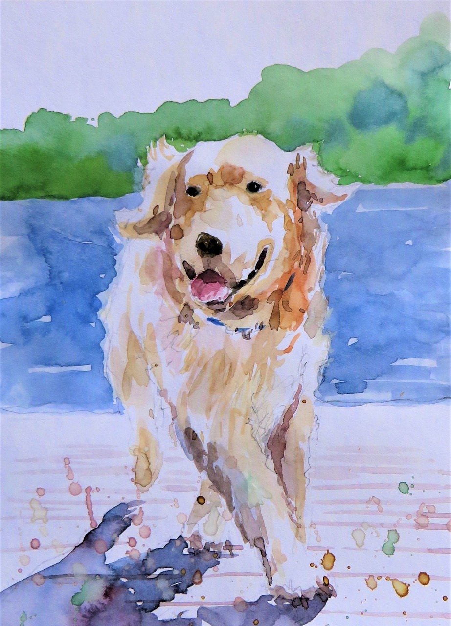 dog running  watercolor painting  artist free photo