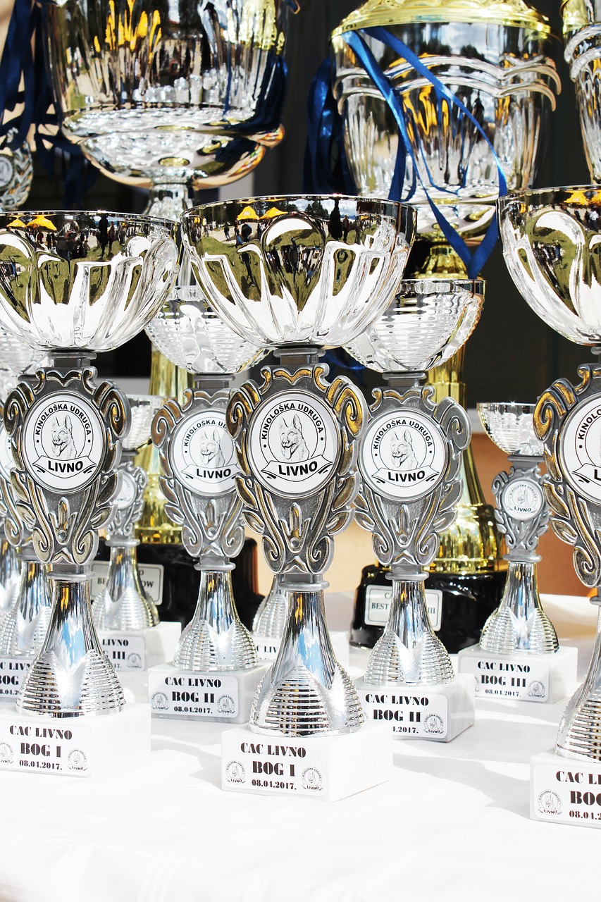dog show winners trophies free photo