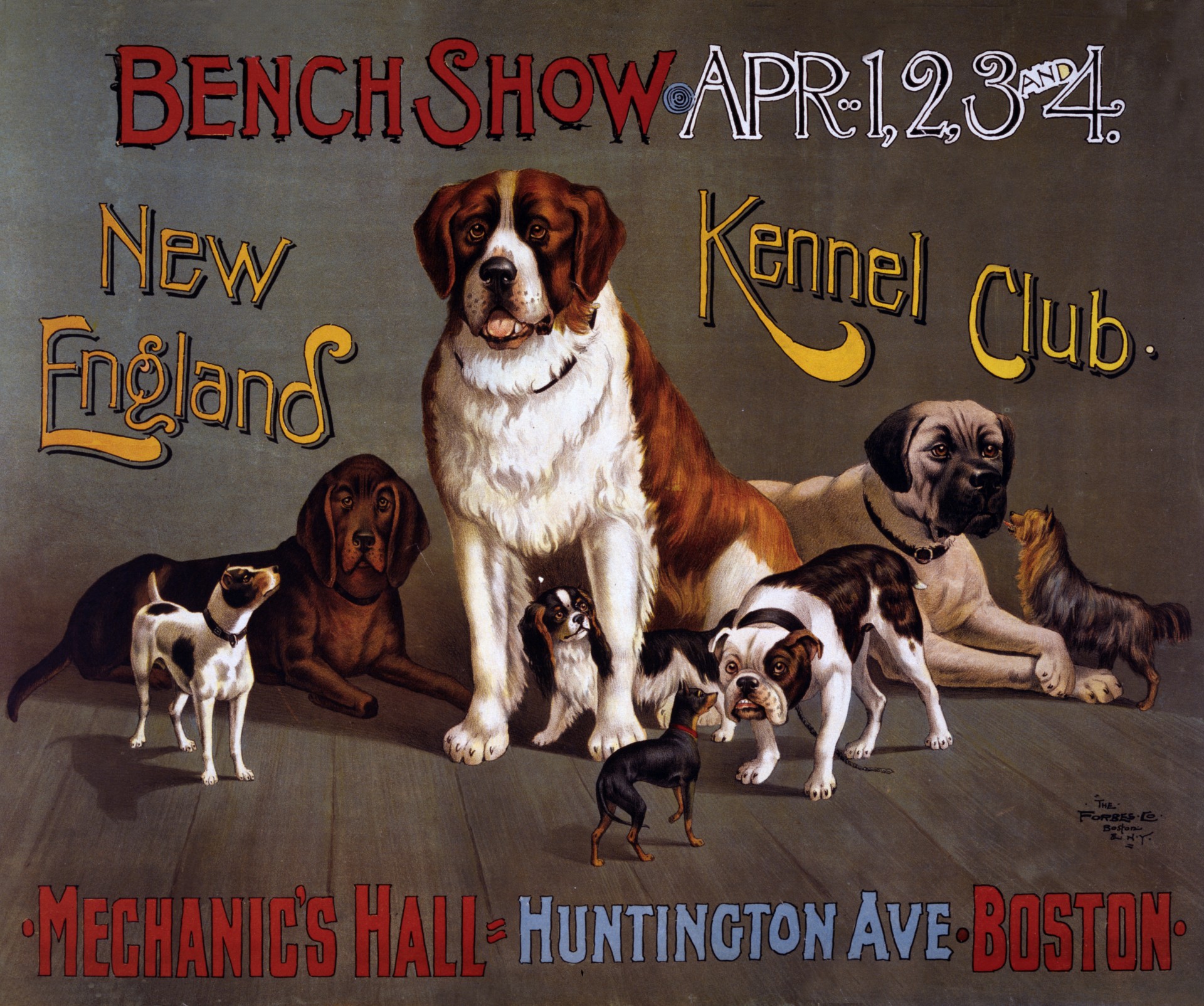 dog show kennel club vintage free photo