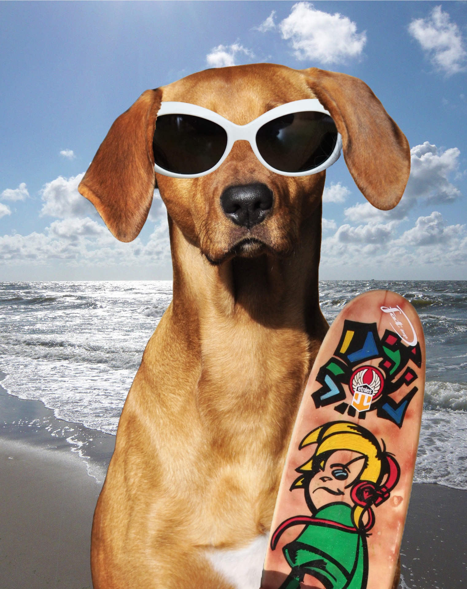 dog rhodesian ridgeback sunglasses free photo