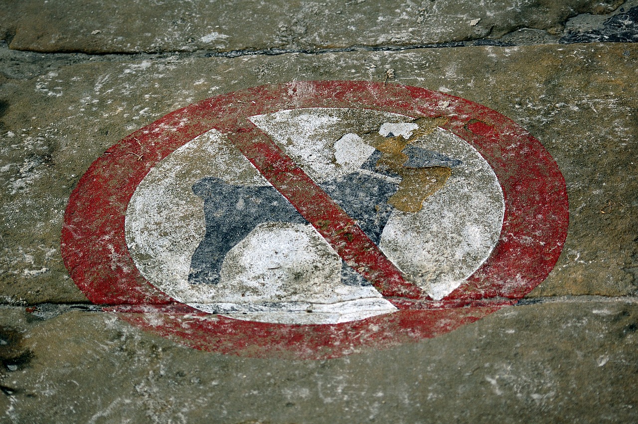 dogs ban dog ban free photo