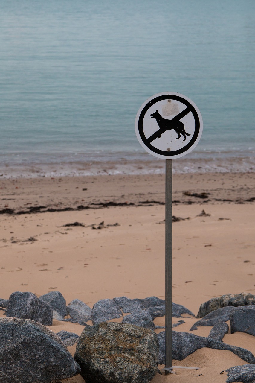 dogs prohibited beach shield free photo