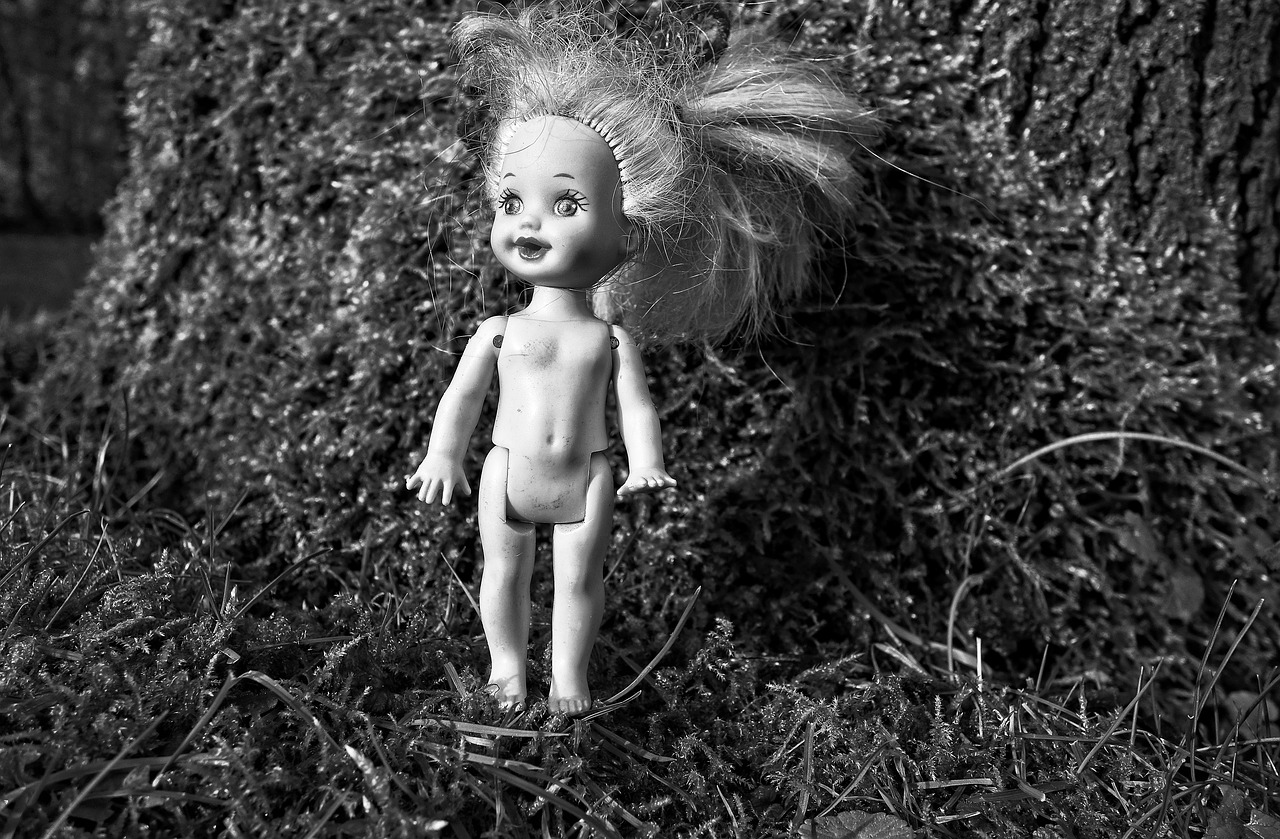 doll female doll girl doll free photo