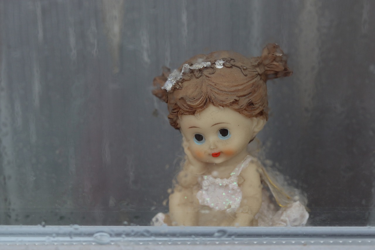 doll  window  rain free photo