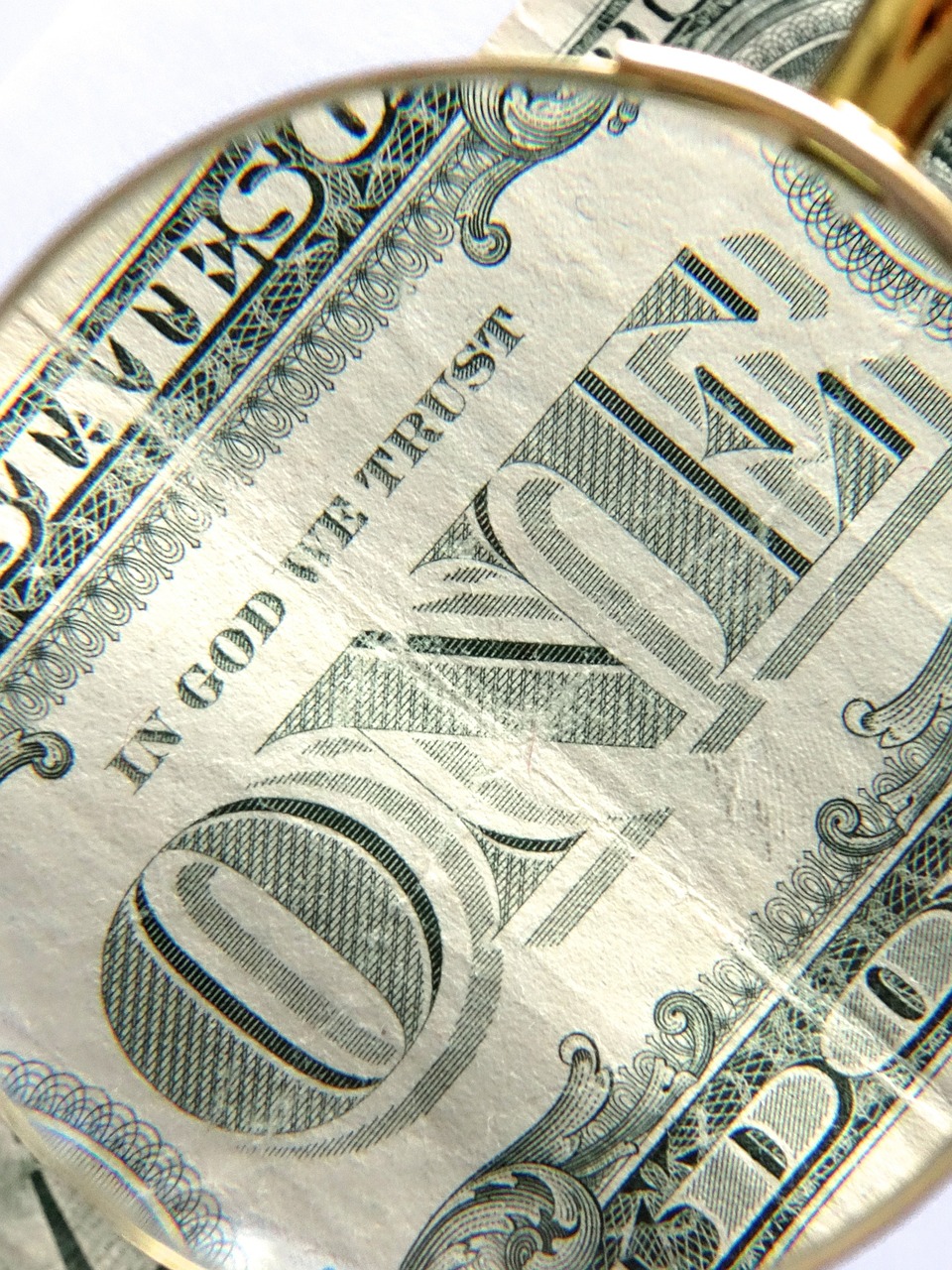 dollar currency finance free photo