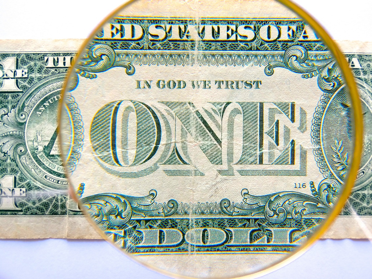 dollar currency finance free photo