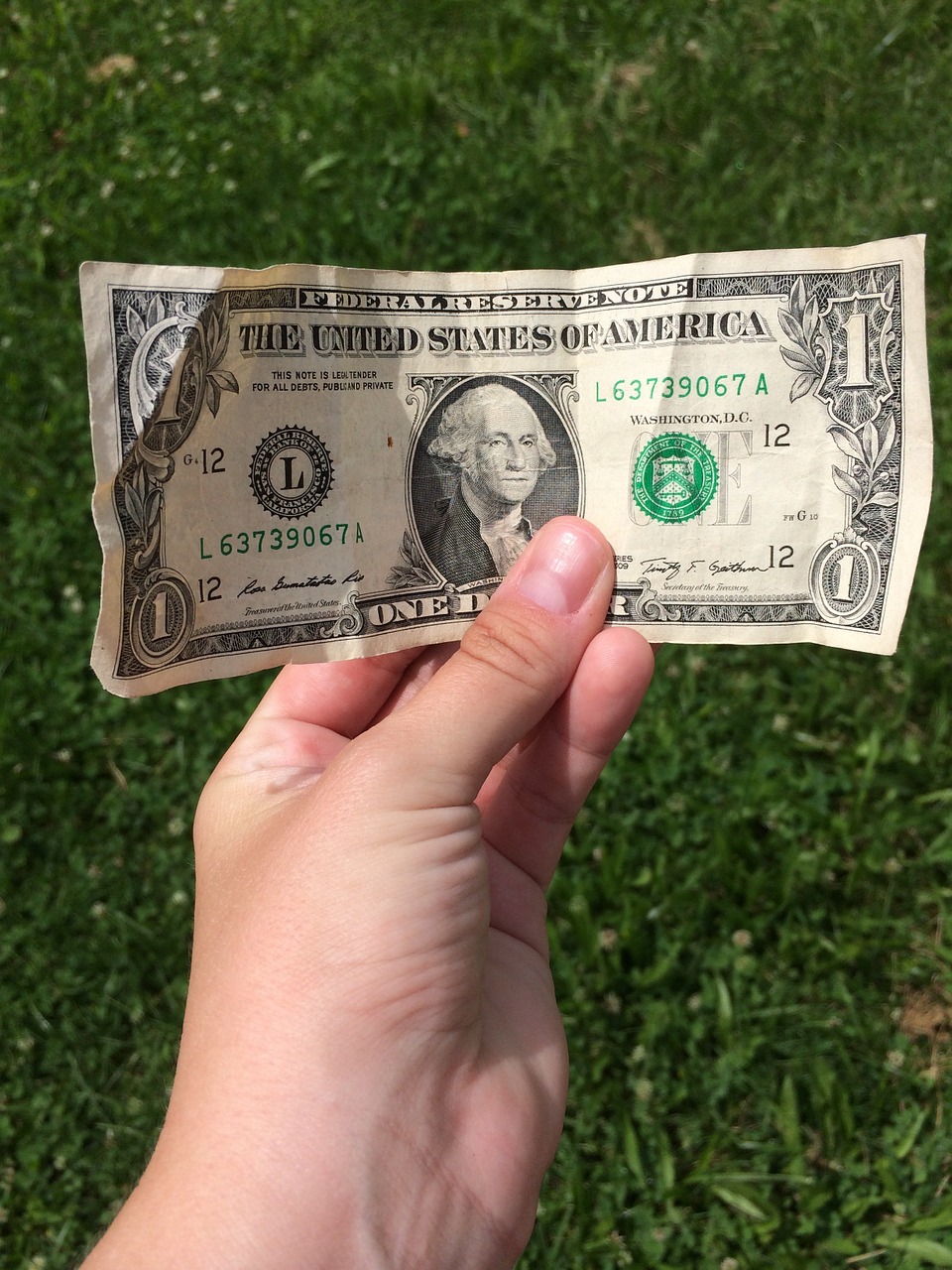 dollar bill hand grass free photo